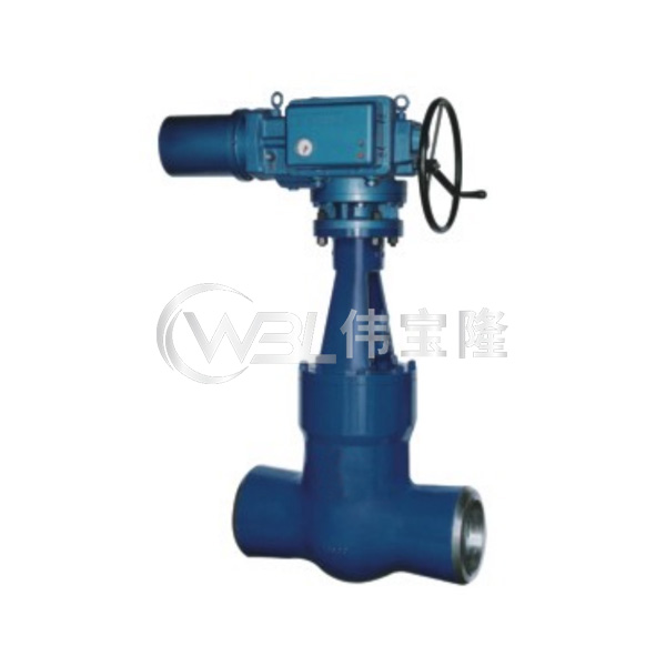 電站用平行雙閘板閘閥